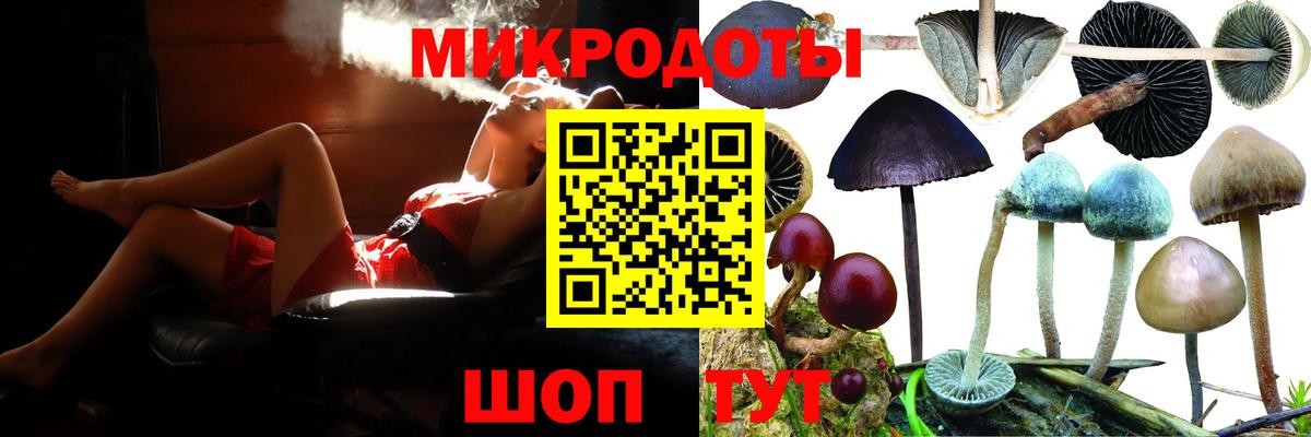 Псилоцибиновые грибы Psilocybe  Галлюциногенные грибы Psilocybe  Вход с VPN  Донецк 
